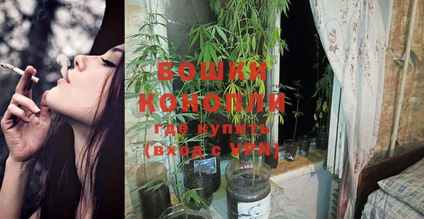 твердый Белокуриха
