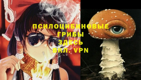 шишки Белоозёрский