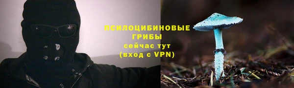 твердый Белокуриха