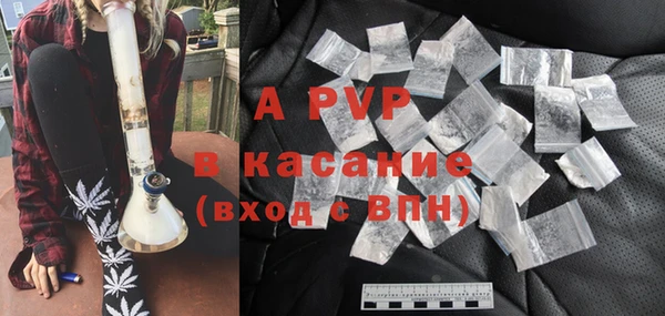 шишки Белоозёрский