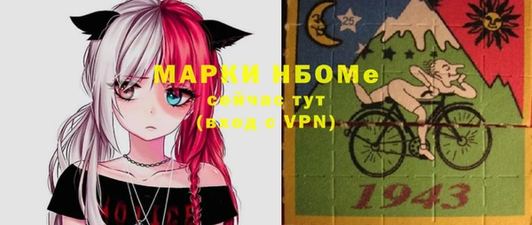 шишки Белоозёрский
