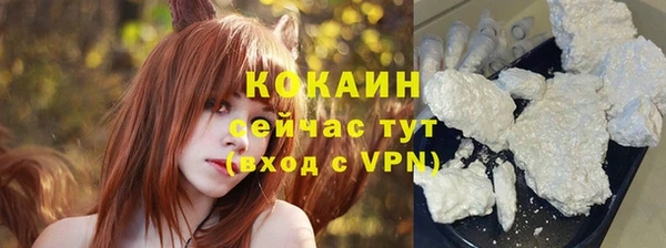 шишки Белоозёрский