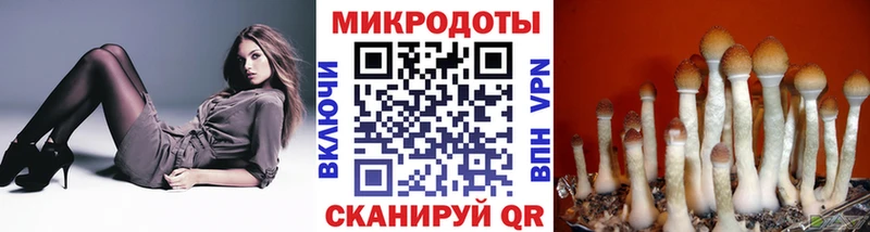 Псилоцибиновые грибы GOLDEN TEACHER  Купить  Топки 
